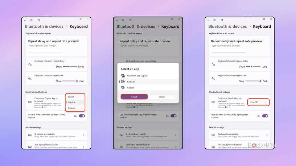 Reprogram Microsoft Copilot key Windows 11 screenshots 2