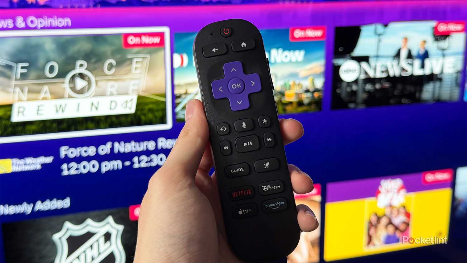 Person holding Roku remote in front of TV.