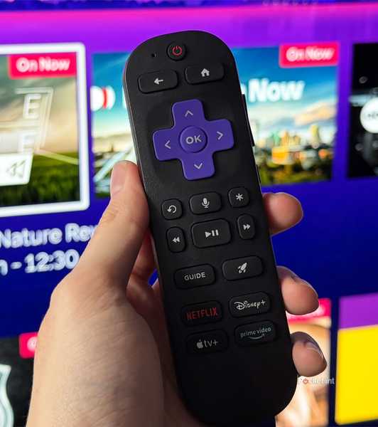 Person holding Roku remote in front of TV.