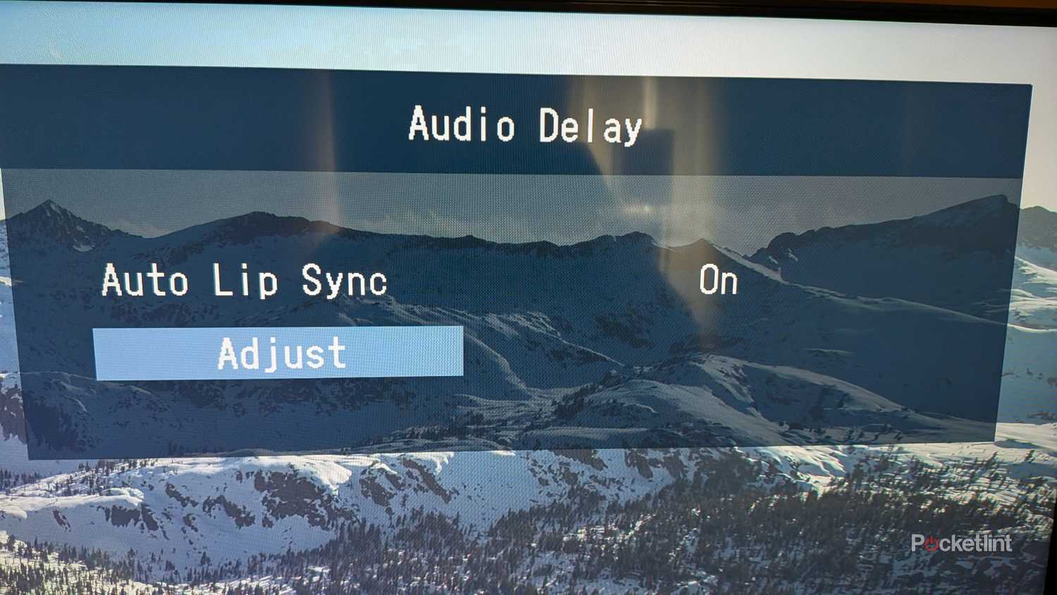 A screenshot of TV audio settings.