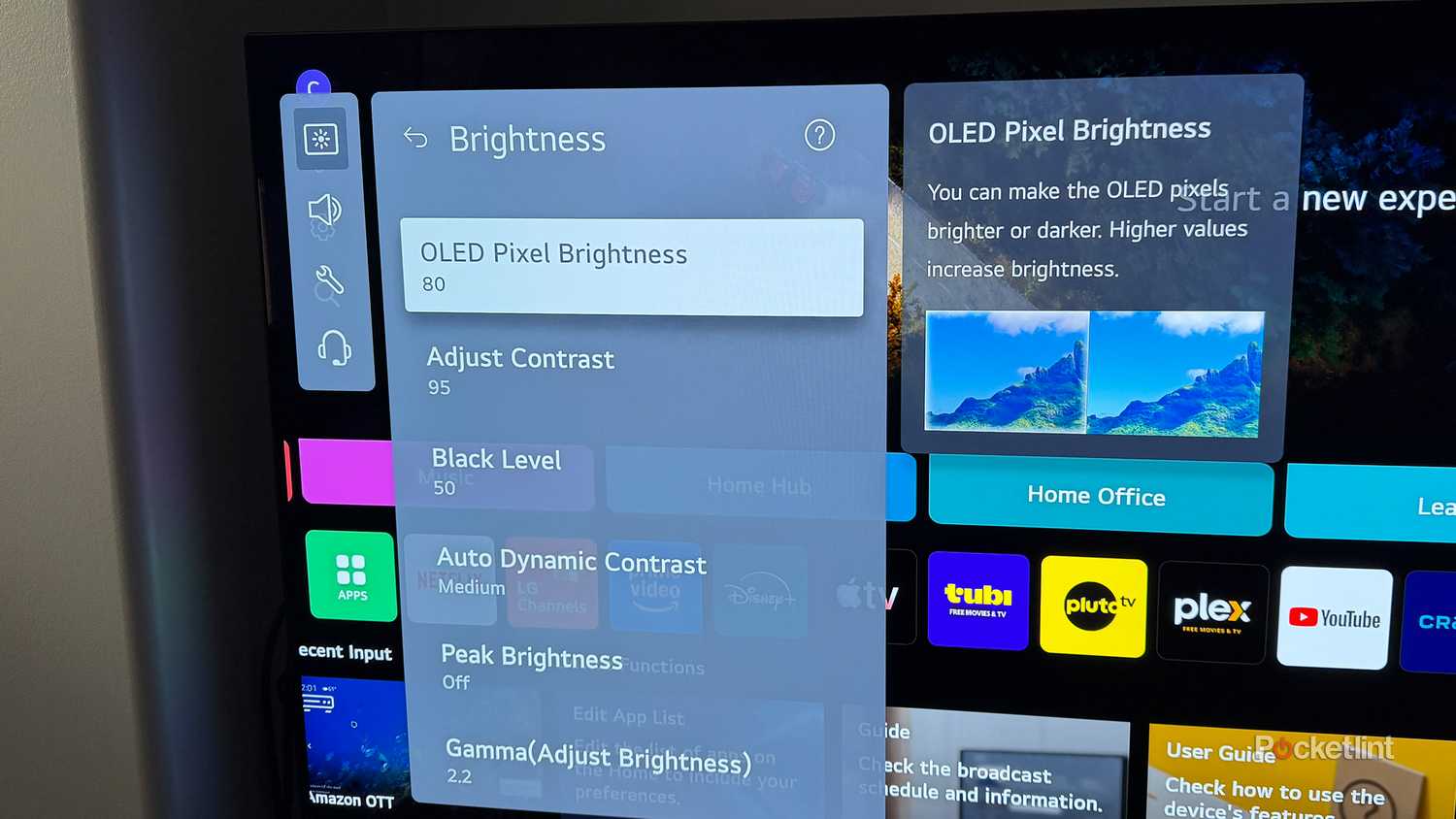 LG TV OLED Pixel Brightness setting.