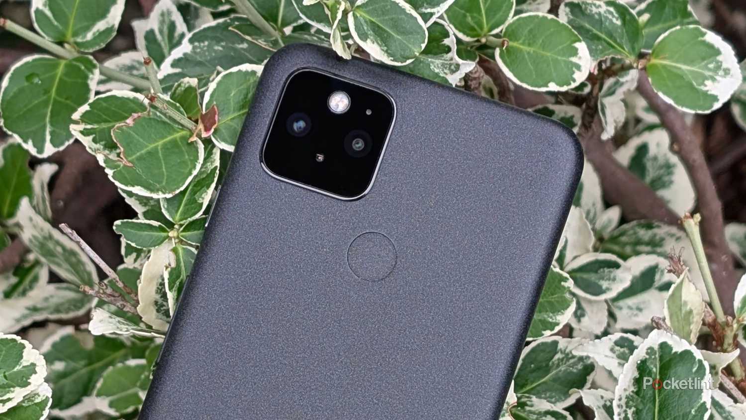 rear-facing fingerprint sensor