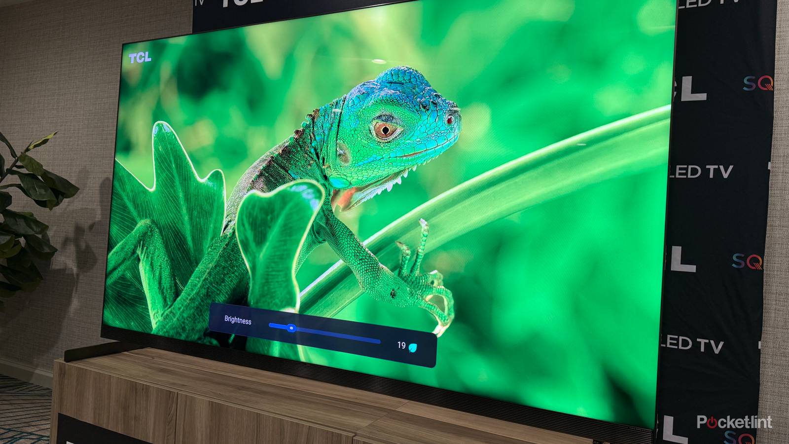 Forgetting to change auto-brightness on a TV is worse than you think Forgetting to change auto-brightness on a TV is worse than you think