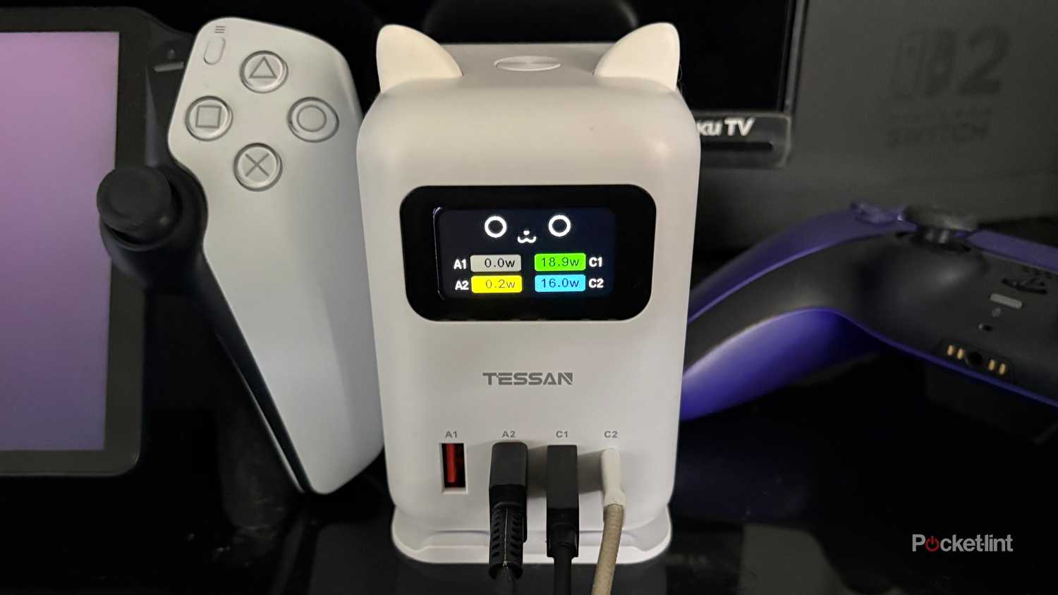 tessan-cat-charging9