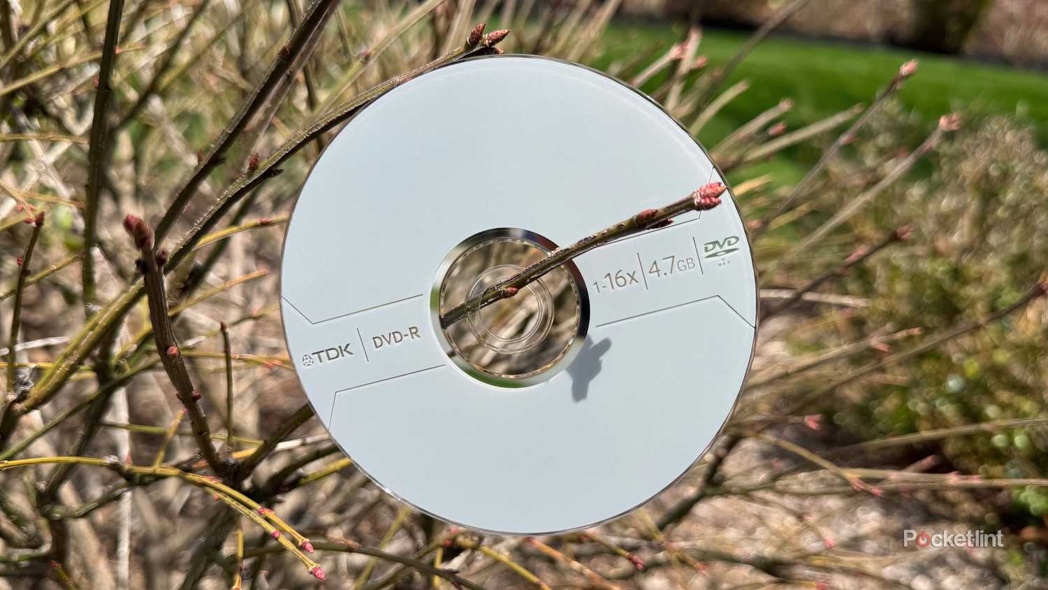 DVD hero image