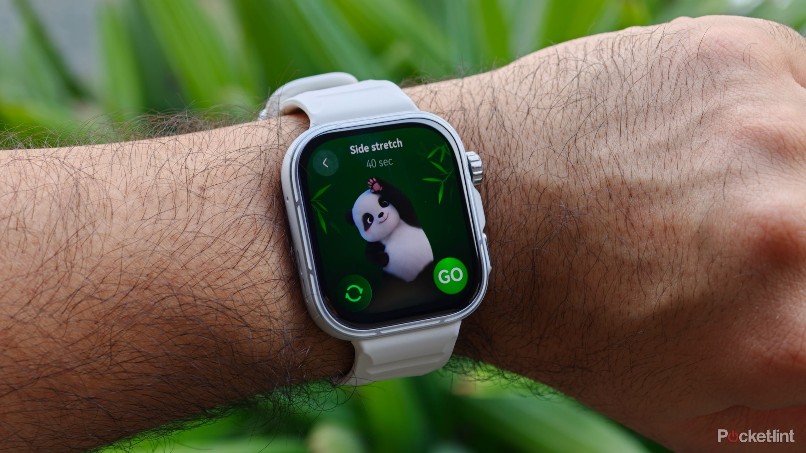 Apple Watch rings stopped motivating me – so I found something better