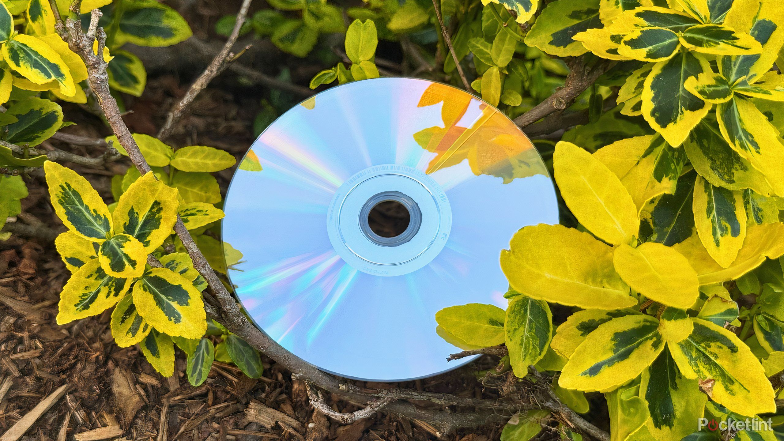 Your 4K Blu-ray player has an underrated feature that you aren’t using