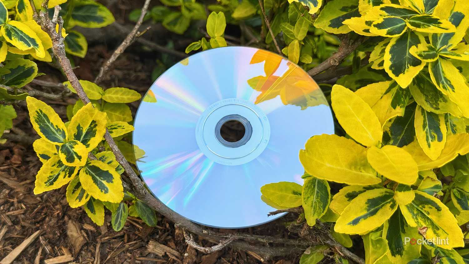 Blu-ray disc hero image