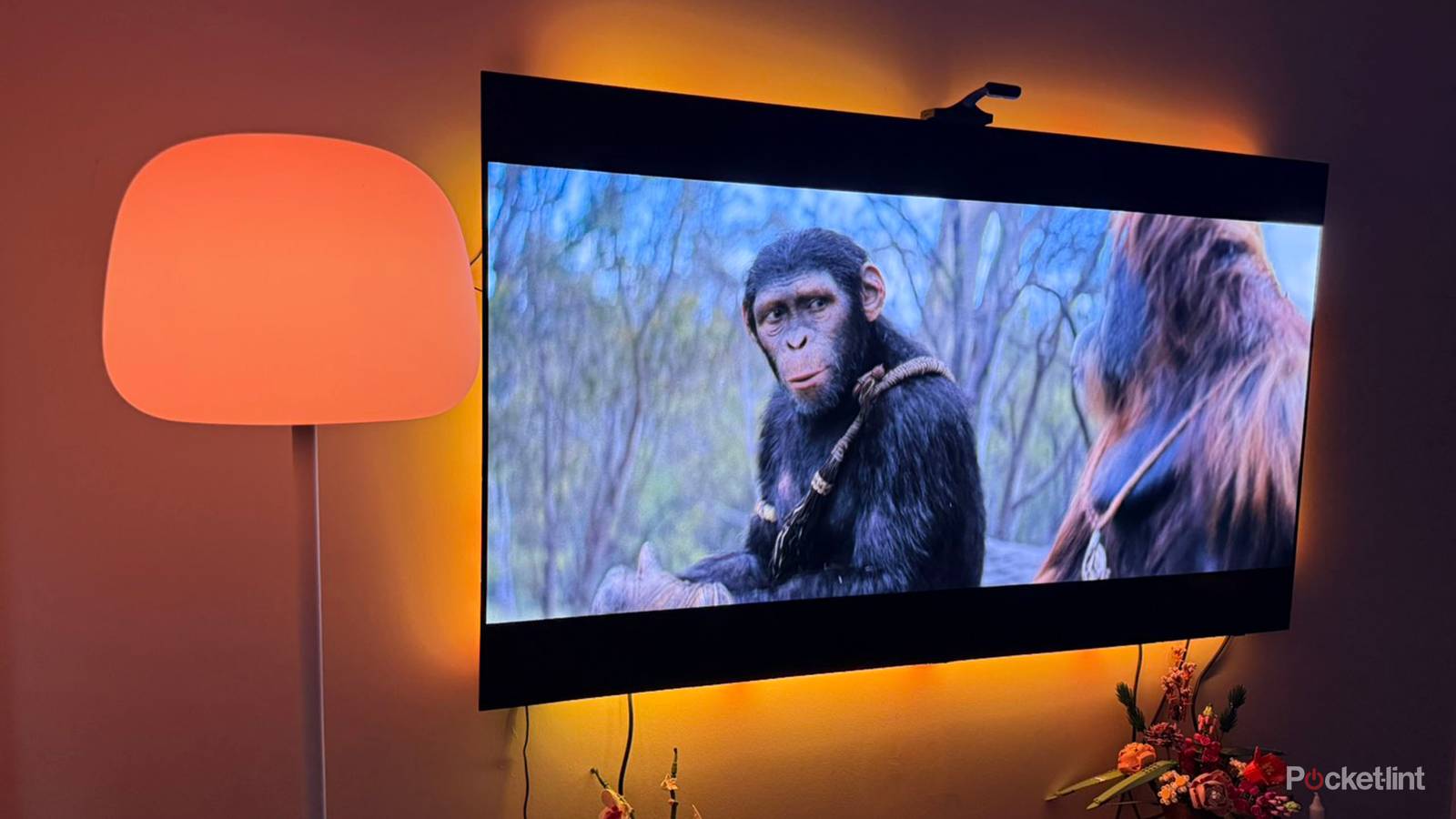 Bad Wi-Fi could be the root of your home theater’s issues Bad Wi-Fi could be the root of your home theater’s issues