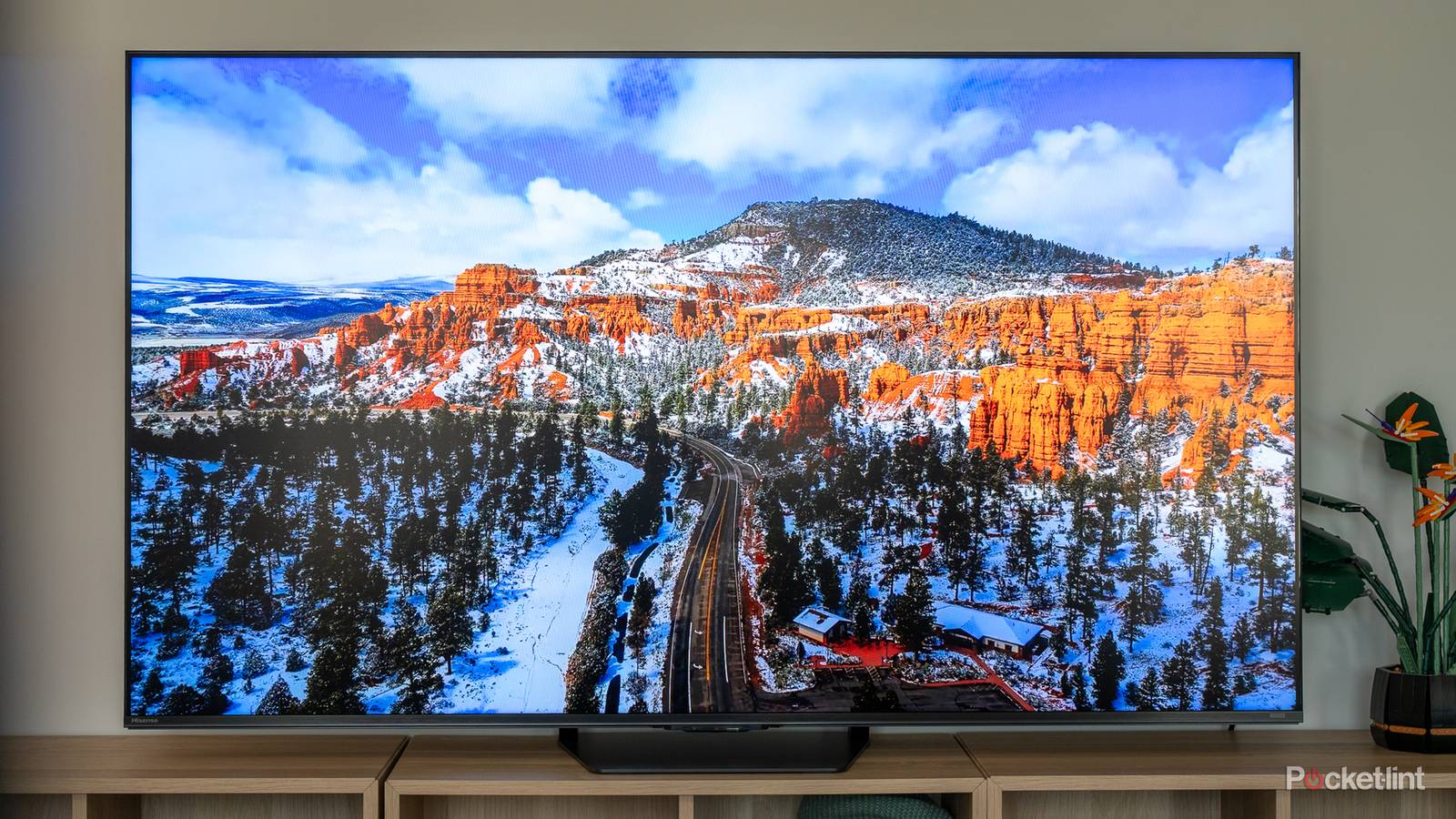 My TV has extra colors, and they’re not worth the hype My TV has extra colors, and they’re not worth the hype