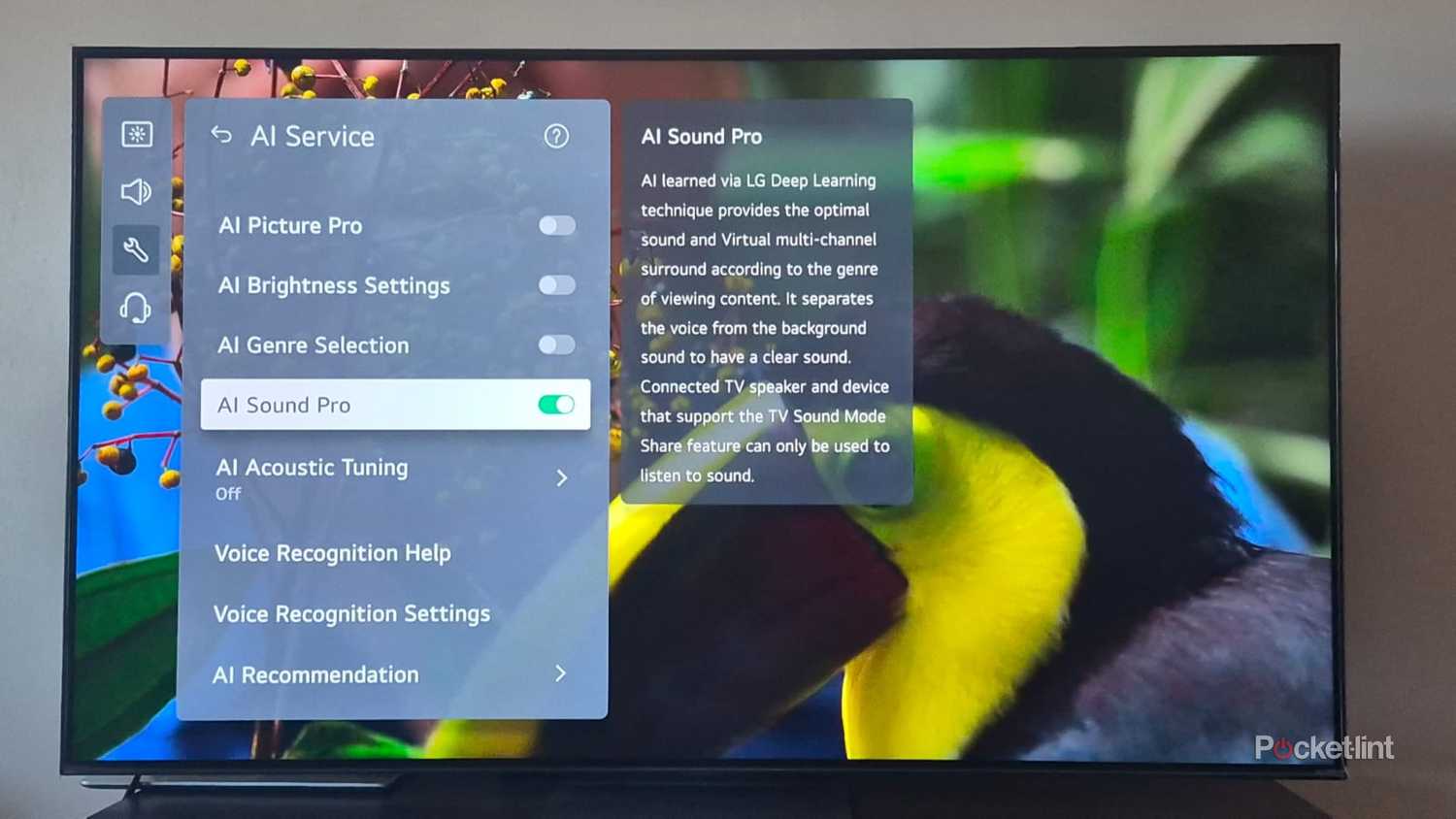 LG AI features 