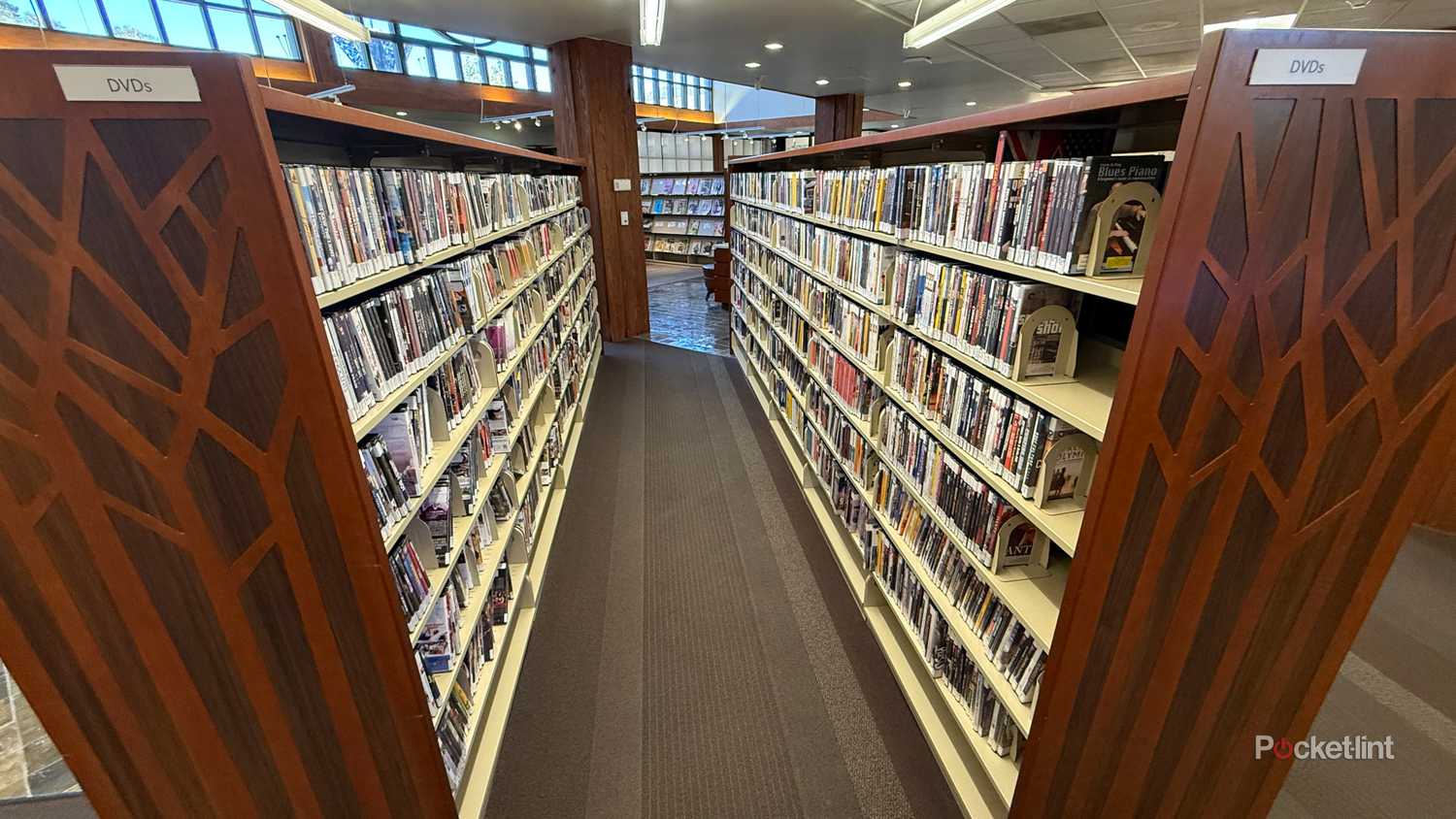 local-library-dvd-rentals-dvds-shelves-3