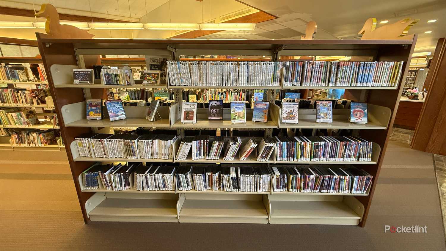 local-library-dvd-rentals-dvds-shelves-4