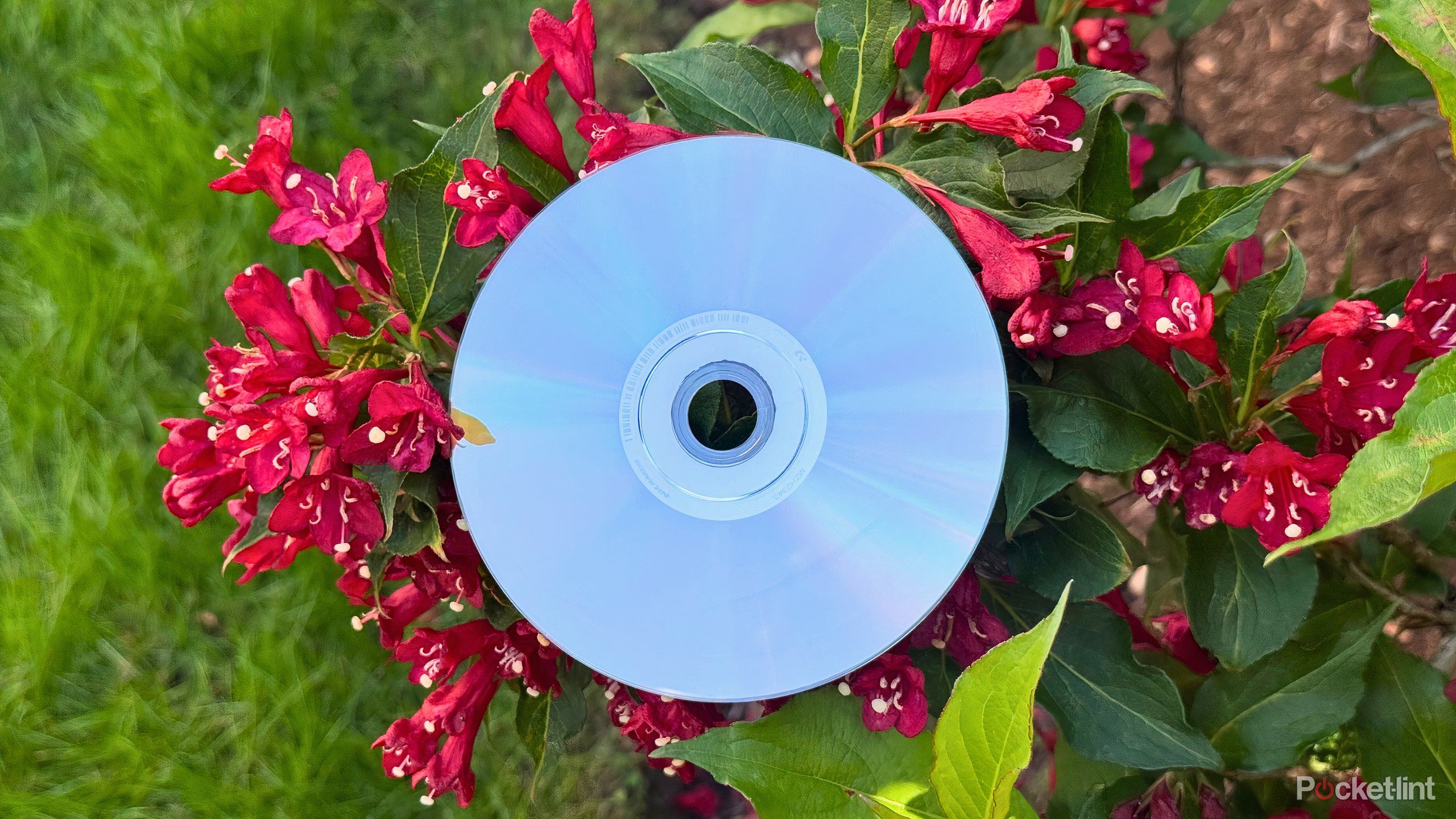 3 myths I can’t believe Blu-ray, CD and DVD collectors still believe