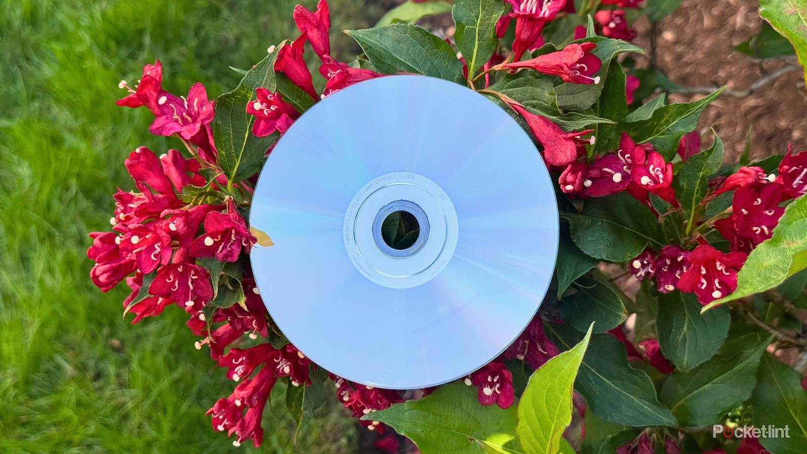 3 myths I can’t believe Blu-ray, CD and DVD collectors still believe 3 myths I can’t believe Blu-ray, CD and DVD collectors still believe