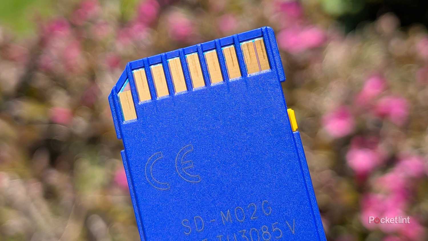 SD card hero image 2