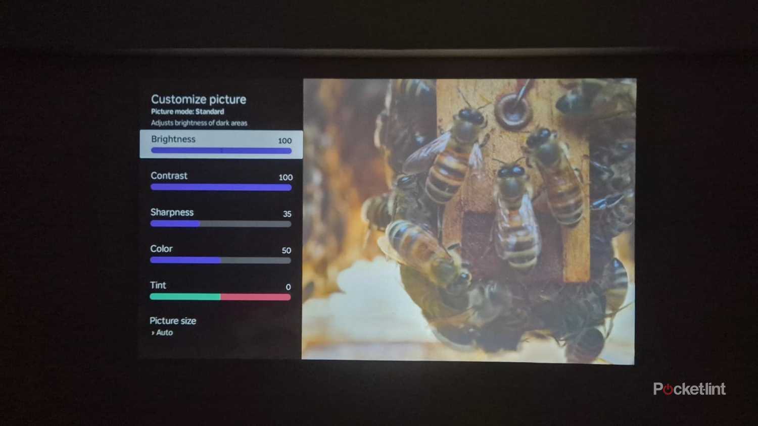 Roku projector Brightness settings