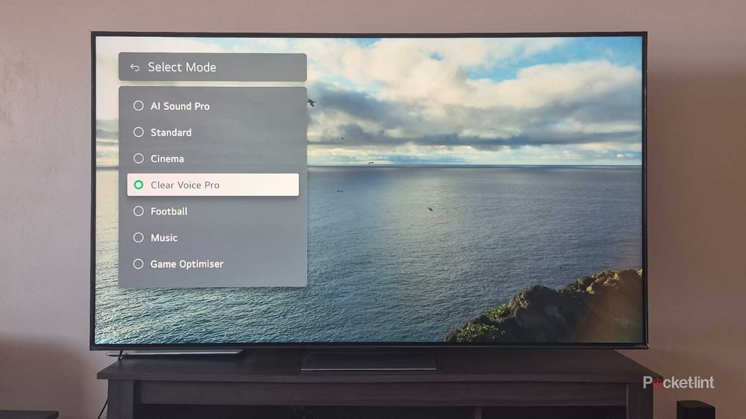 LG TV DTV Audio Setting
