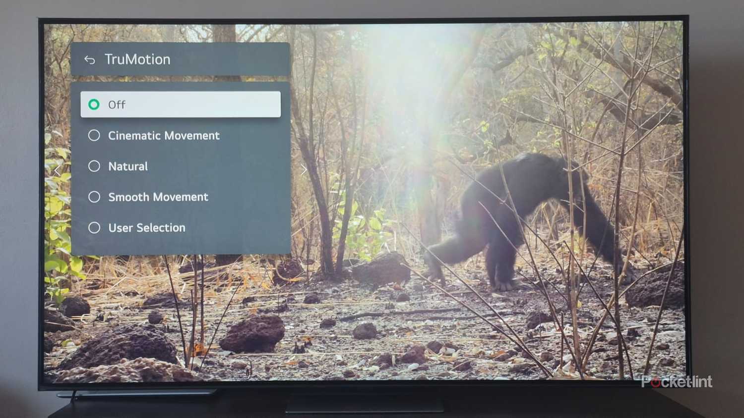 LG TV Motion Smoothing feature 