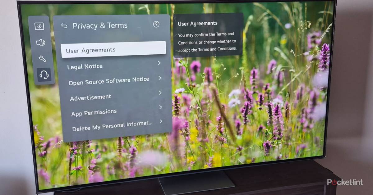 pocket-lint.com - Saeed Wazir - How to turn off ACR on an LG TV
