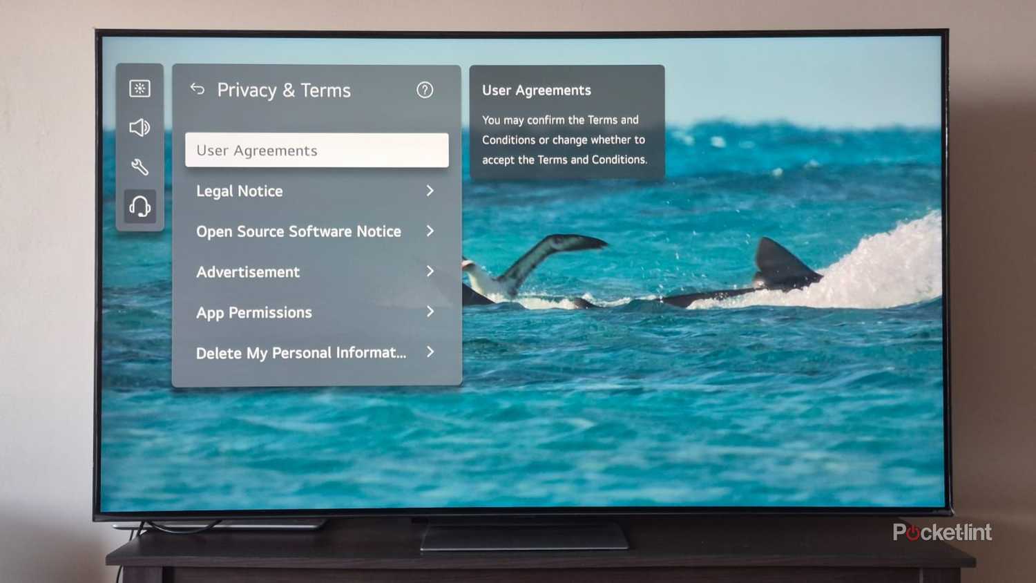 LG TV User Agreement Menu