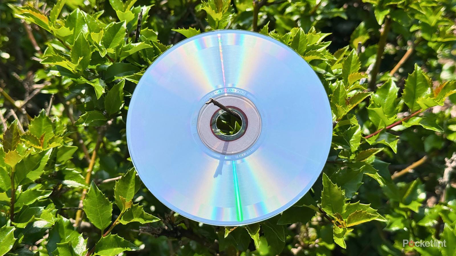 3 storage methods that keep my discs in tip-top shape 3 storage methods that keep my discs in tip-top shape