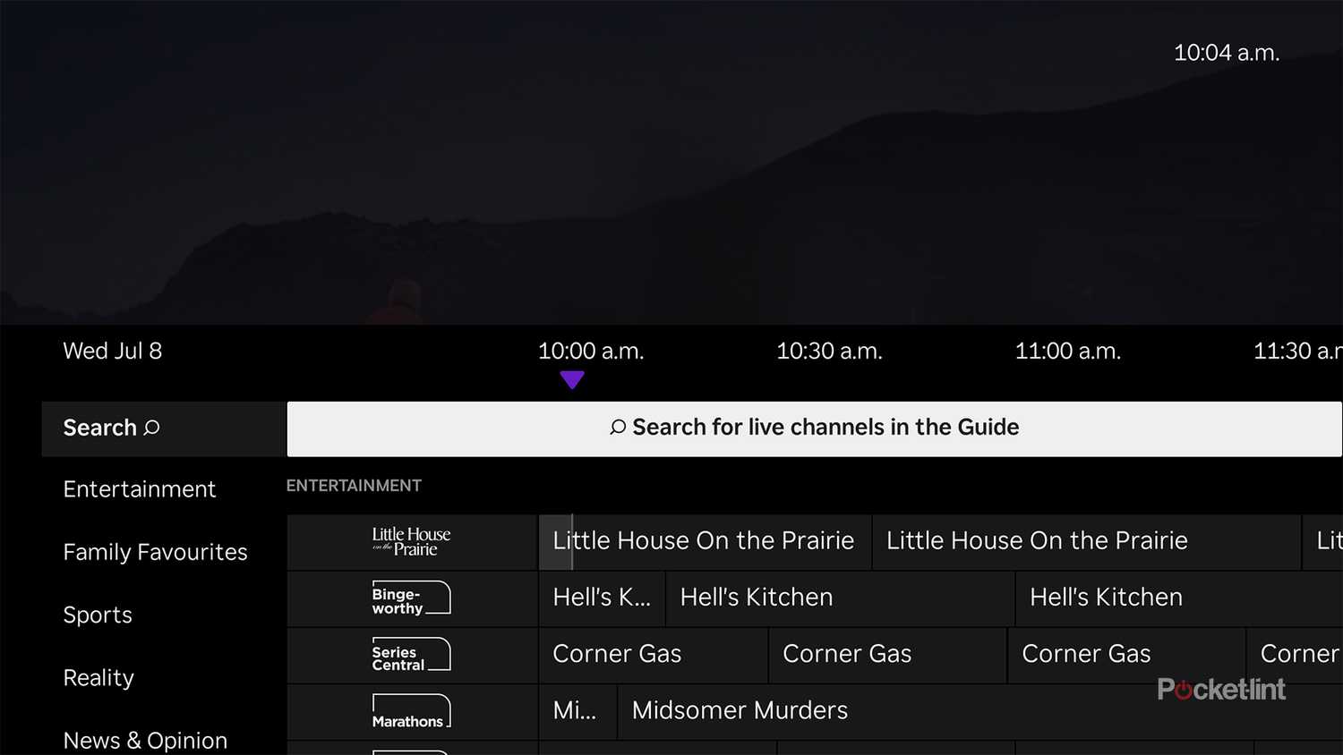 The Roku Channel Live TV Guide.