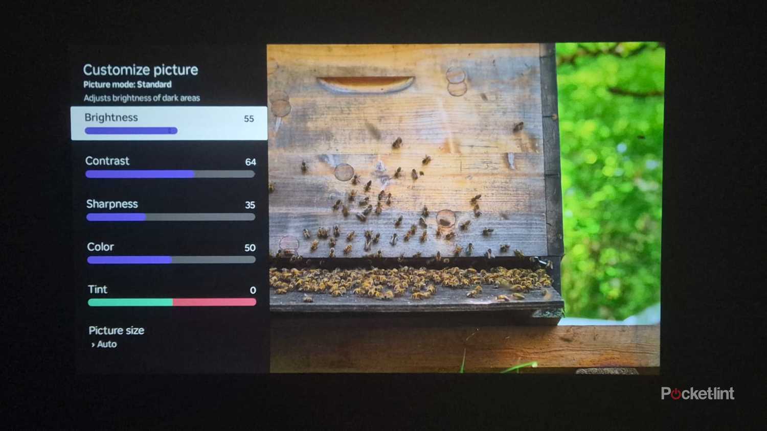 Roku projector contrast 2