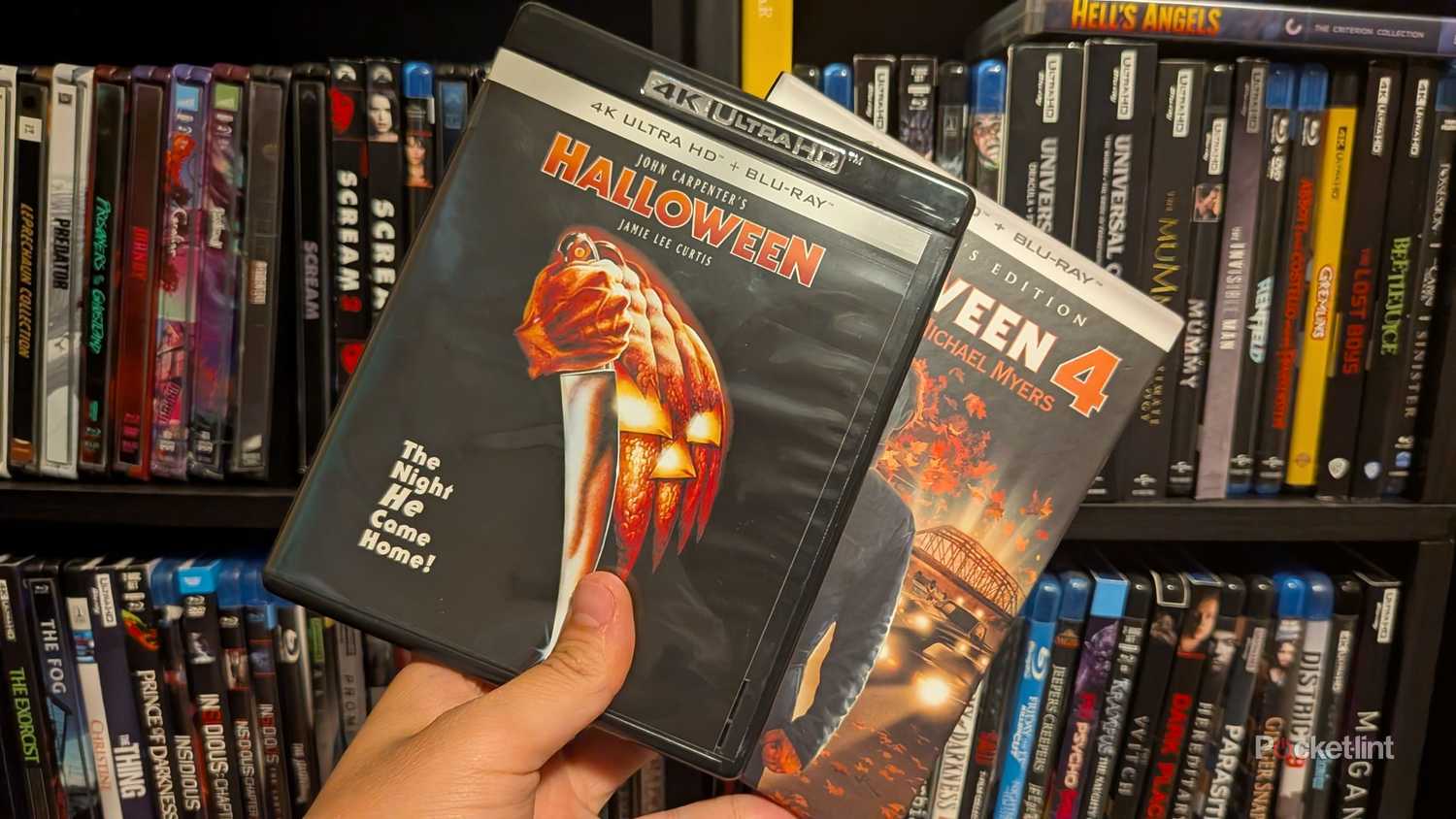 A person holding a pair of Halloween 4K Blu-rays.