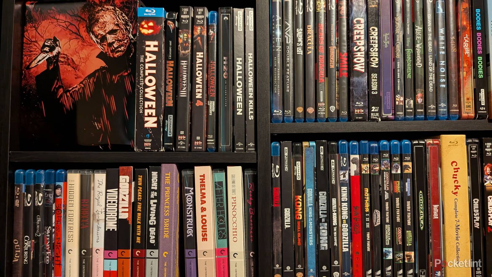 Disc rot is real, but I don't worry about it anymore