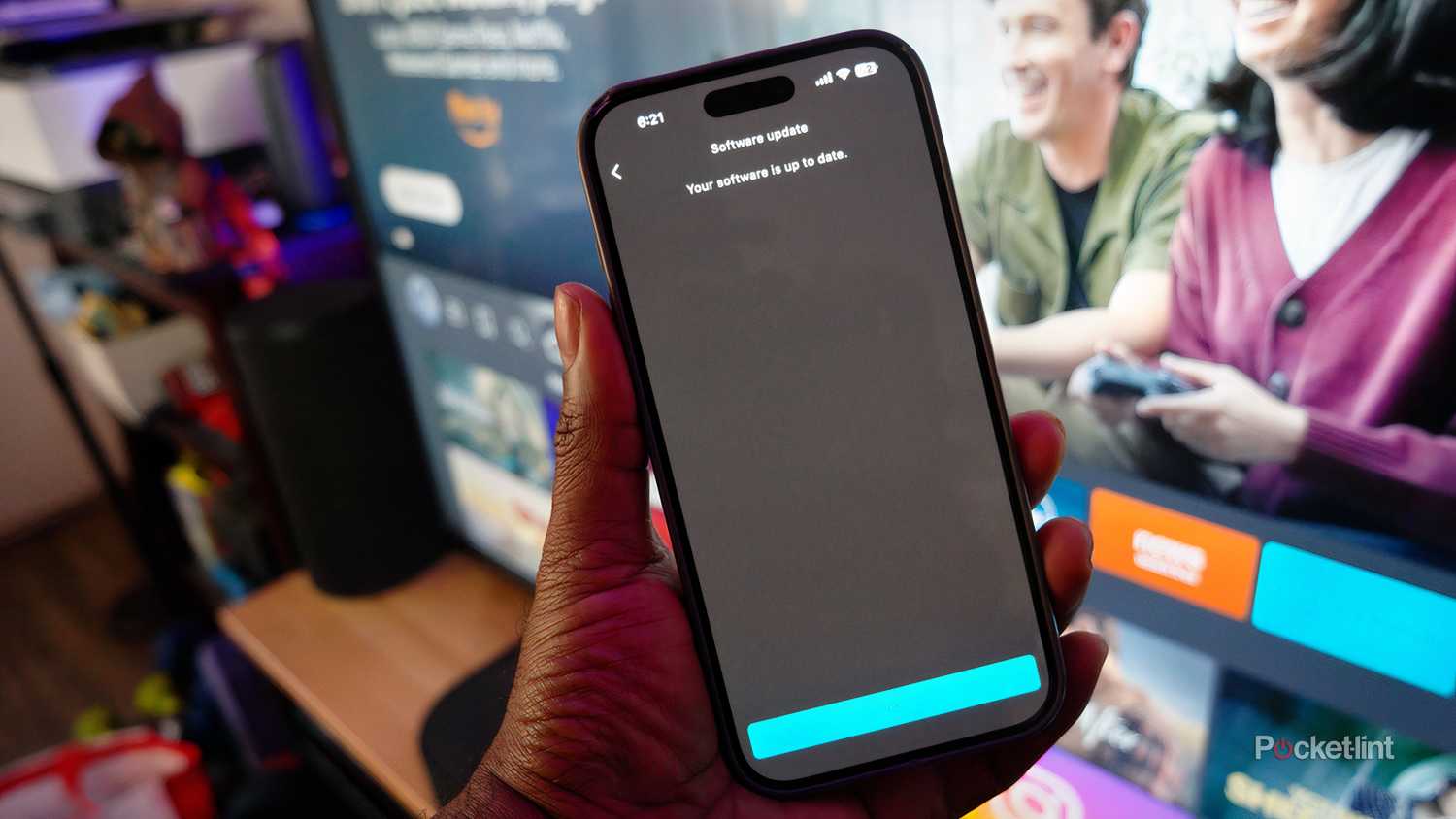 Bravia Connect software update menu