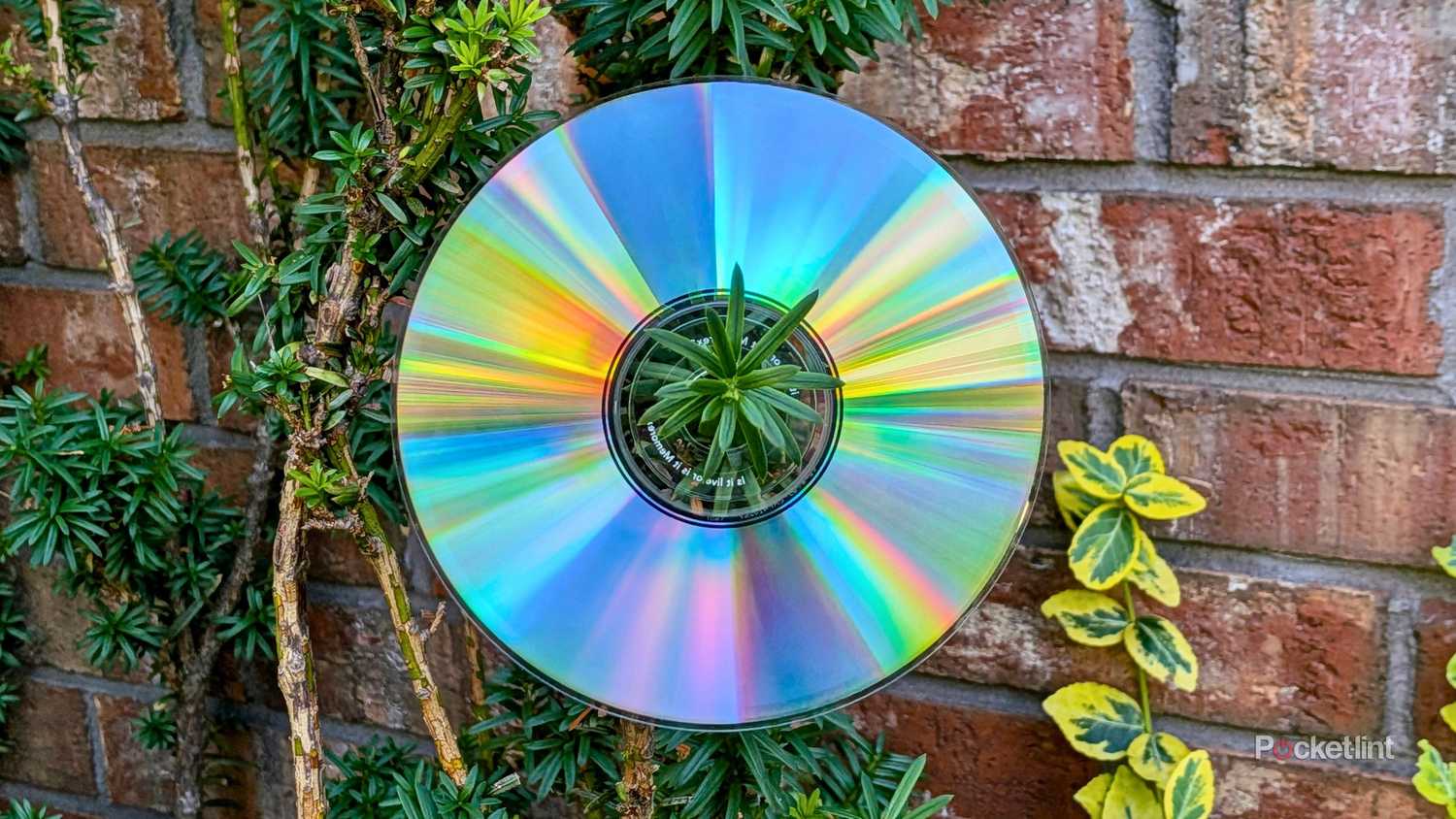 Optical disc hero image