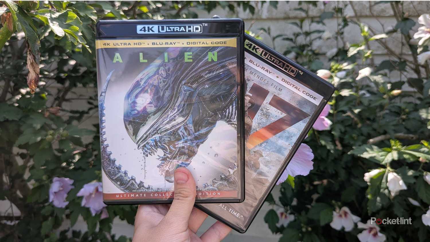 Somebody holding the Alien and 1917 4K Blu-rays outside.
