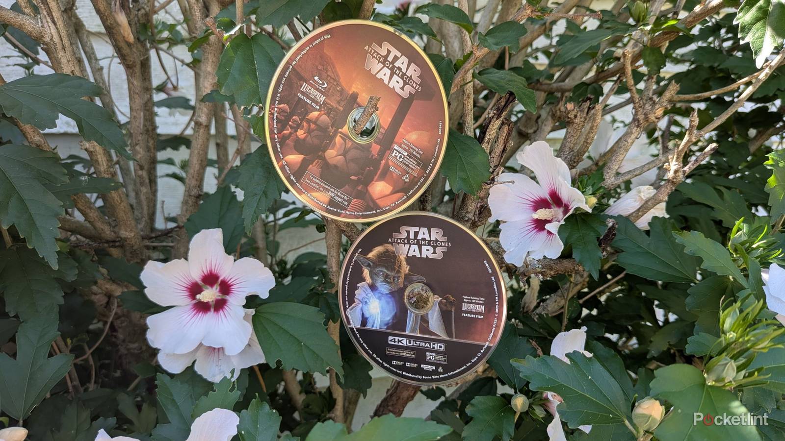 How I spot fake Blu-ray 4K upgrades