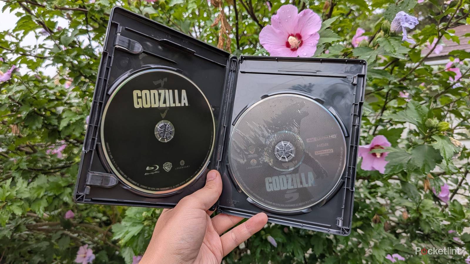 These premium 4K discs are unplayable in certain setups These premium 4K discs are unplayable in certain setups