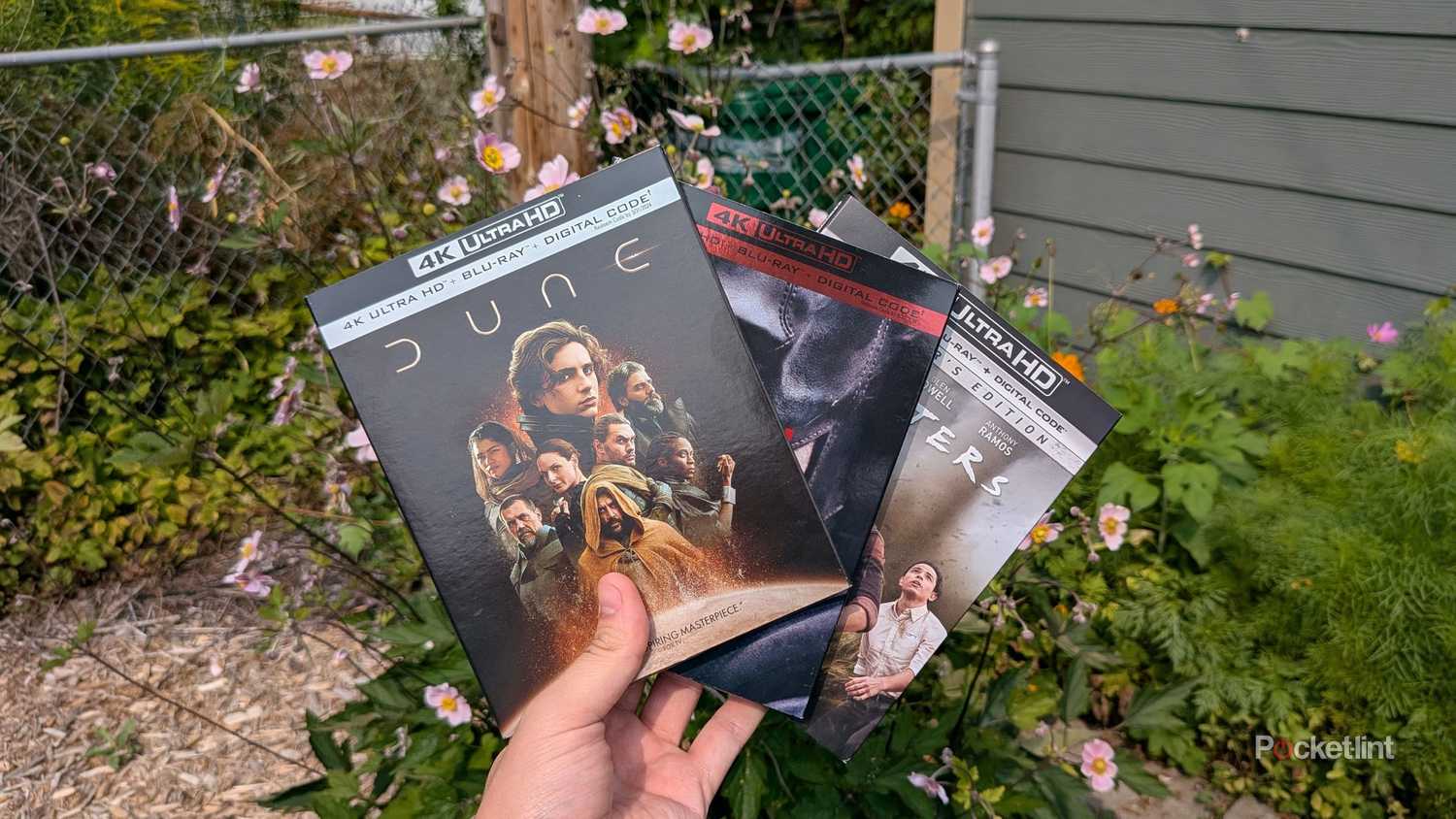 A person holding three 4K Blu-ray movies outside.