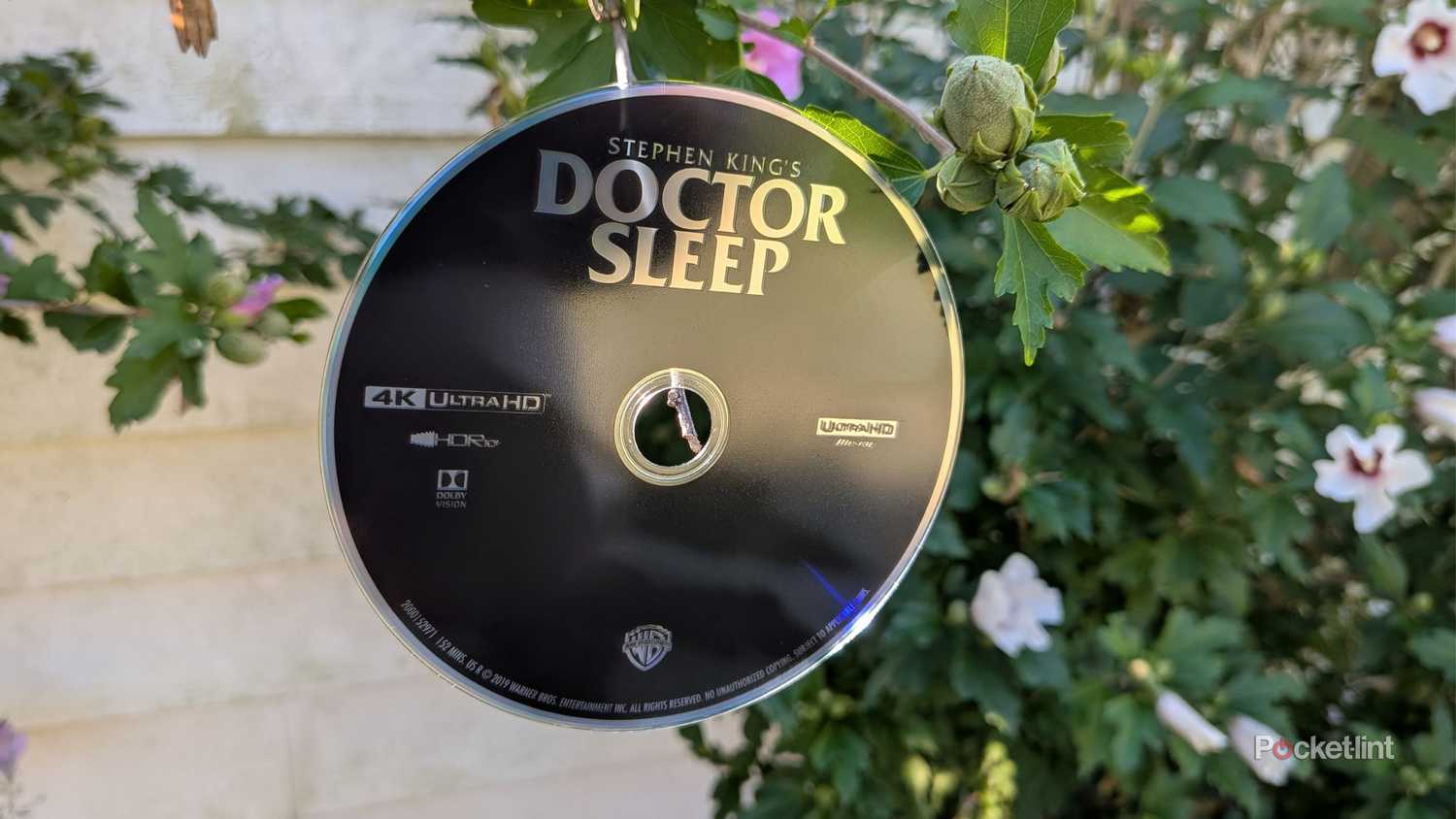 Диск Doctor Sleep 4K Blu-ray висить у кущах.