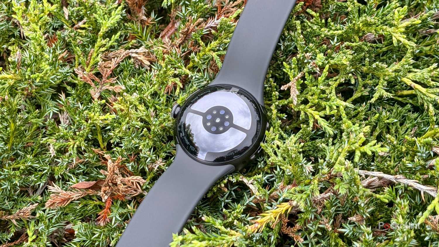 Google Pixel Watch 5 (41 mm) beauty 3