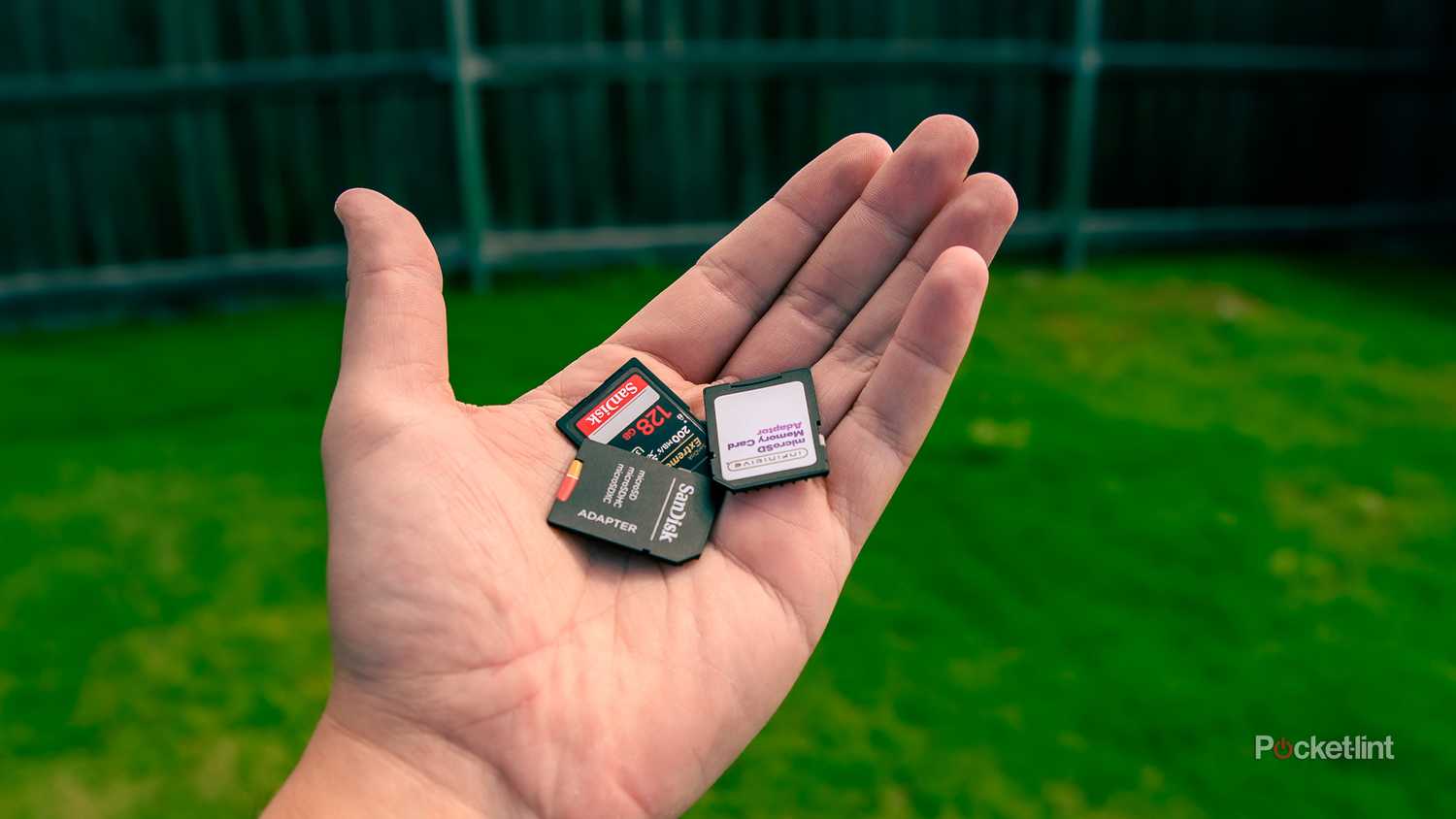 A still photo of three SD cards being held in one hand.