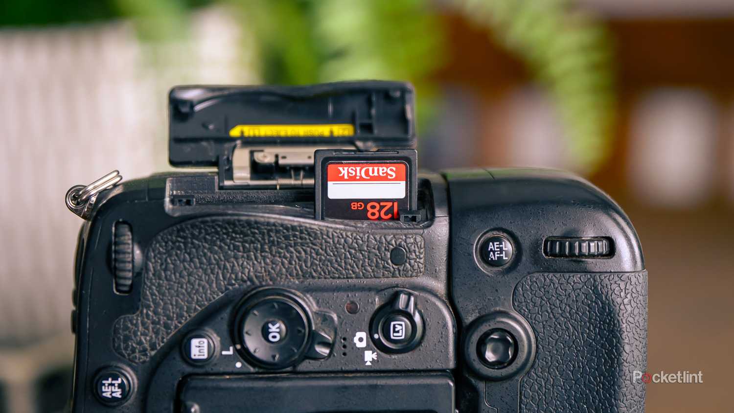 A SanDisk 128GB SD card being loaded into a Nikon D750 camera.