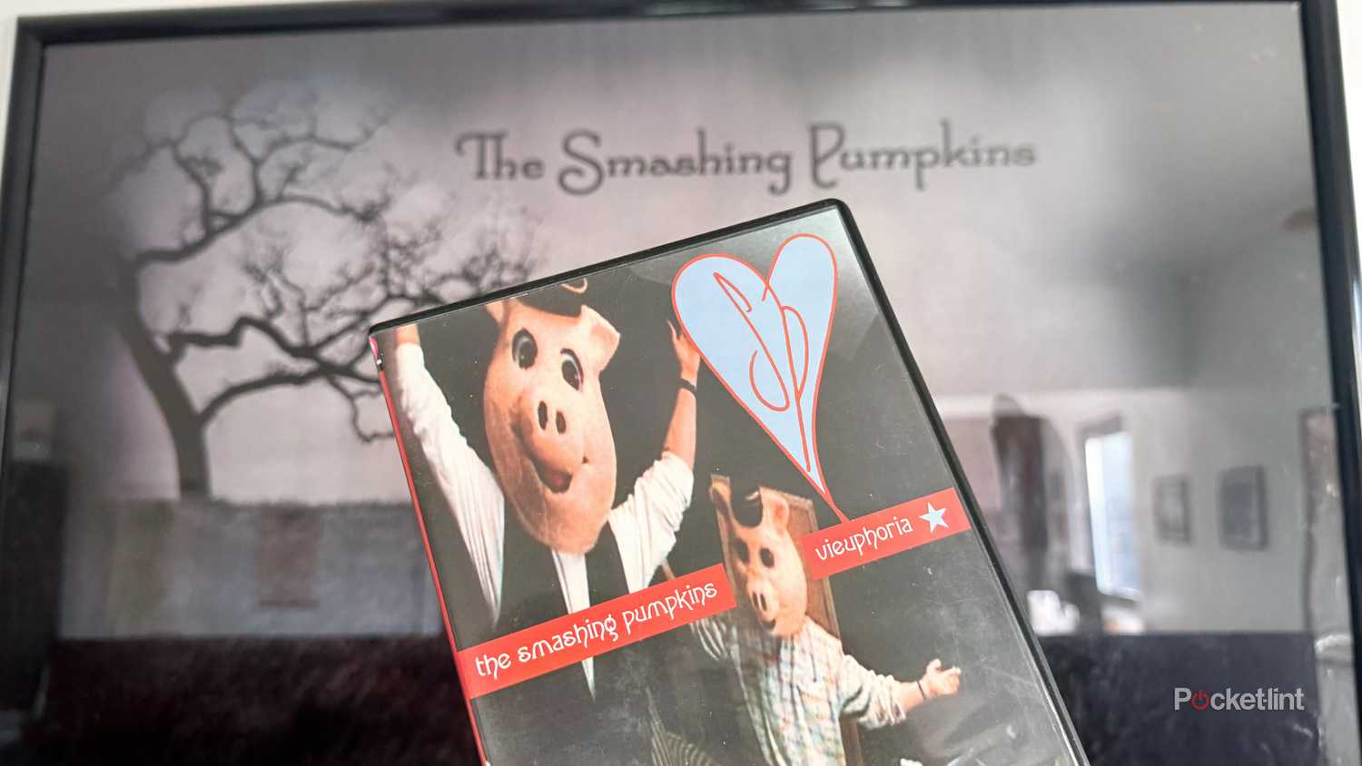 Smashing Pumpkins DVD in front of poster.