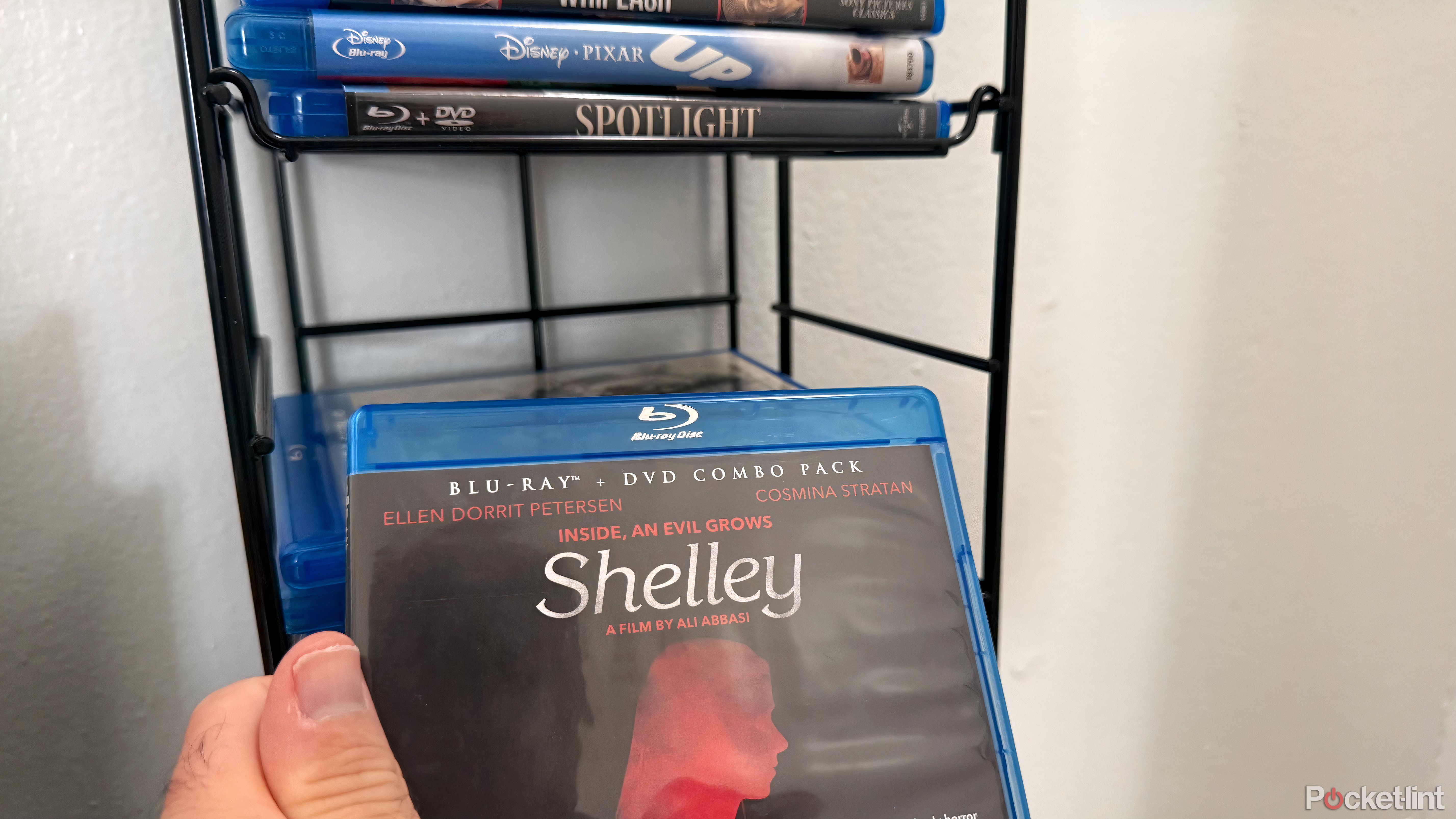 How my disc collection helped me discover a vast, hidden world of media