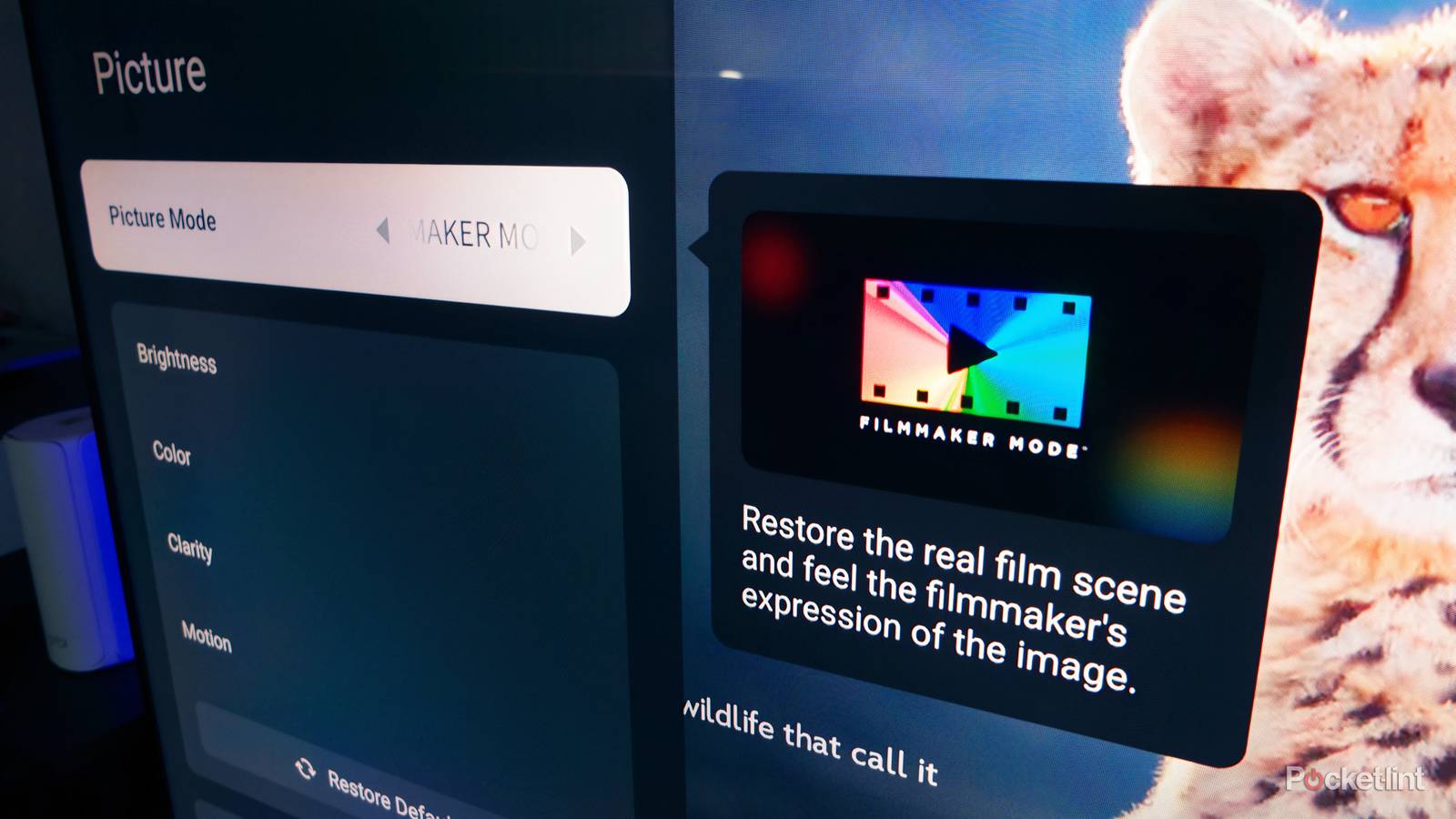 8 TCL picture settings you should change immediately