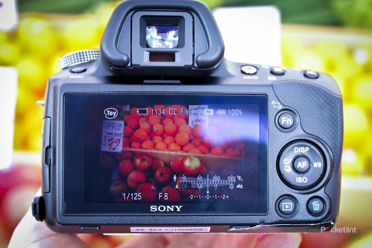 Sony SLT-A37 10x Objectif gros plan macro haute définition 2 éléments (49 mm) (58 mm avec anneau pas 49-58 mm